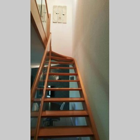 Superbe Duplex au Nouveau Bassin avec vue superbe Mulhouse Extérieur photo