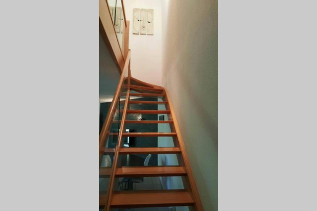 Superbe Duplex au Nouveau Bassin avec vue superbe Mulhouse Extérieur photo