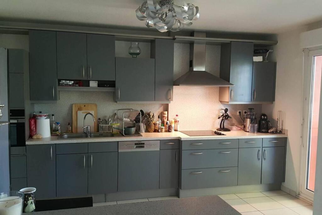 Superbe Duplex au Nouveau Bassin avec vue superbe Mulhouse Extérieur photo